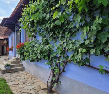 Laslea Casa | FLORESTI HOUSE 21