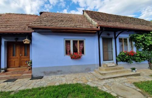 Laslea Casa | FLORESTI HOUSE 21