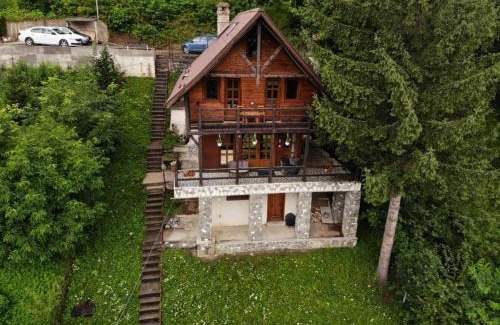 Sinaia Casa | Florile Bucegilor