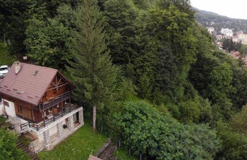 Sinaia Casa | Florile Bucegilor