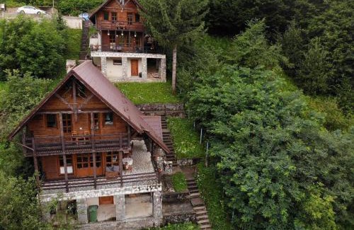 Sinaia Casa | Florile Bucegilor