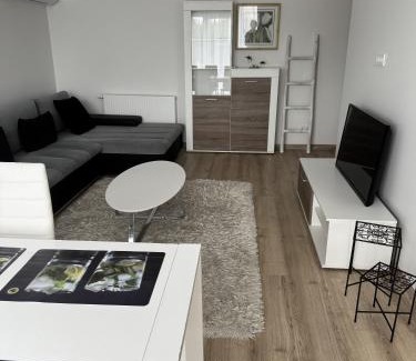 Marijampole Apartamento | Florina namai