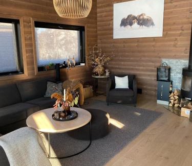 Fidjeland Casa | Flott nyere hytte i Sirdal med fantastisk utsikt og solforhold