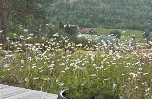 Fidjeland Casa | Flott nyere hytte i Sirdal med fantastisk utsikt og solforhold