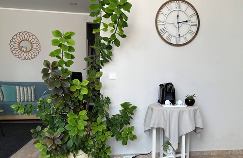 Boliqueime Cabaña | Flower Country House Near the Sea