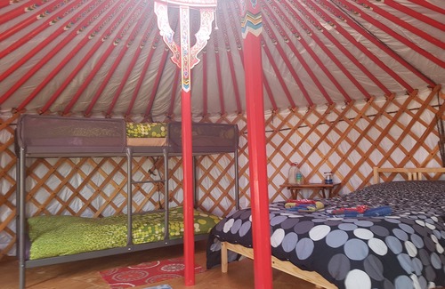 Indian Brook Complejo | Flying Moose Yurt en Cabot Shores Wilderness Resort