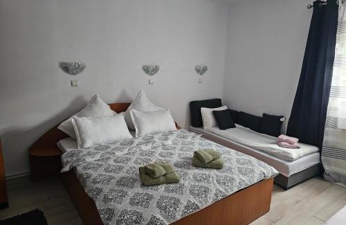 Busteni Casa | Foisor Vila