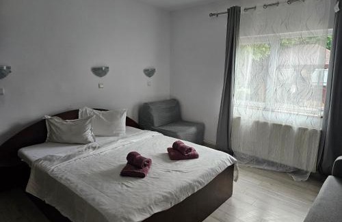 Busteni Casa | Foisor Vila
