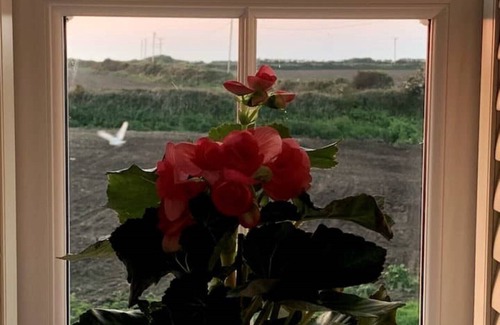 St Ives Casa | Folly Farm Cottage, Cosy, Secluded Near to St Ives
