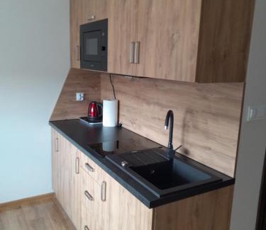 Raba Wyzna Apartamento | Folwark Bielanka