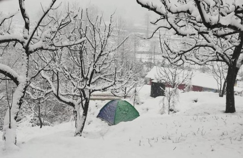 Manali Cama Y Desayuno | Food&travel cafe n Homes