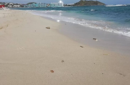 Oyster Pond Casa | FOR Christmas Holidays! co Ownership in West inn Hotel at St Maarten