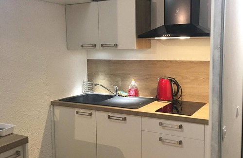 Ancelle Apartamento | Se alquila estudio totalmente equipado con gran terraza, bienvenidos amigos de 4 patas