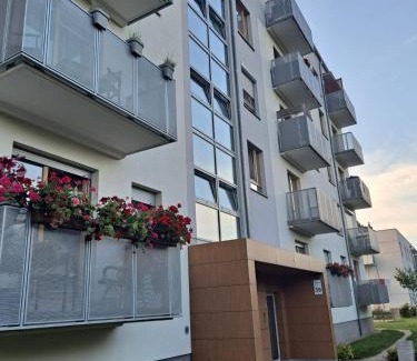 Gorzow Wielkopolski Apartamento | For You Apartment