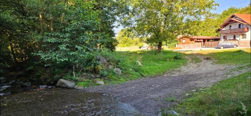 Sovata Apartamento | Forest Apartments