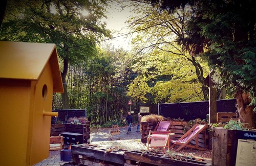 Kluisbergen Cama Y Desayuno | Forest Bathing - Dreaming among Trees