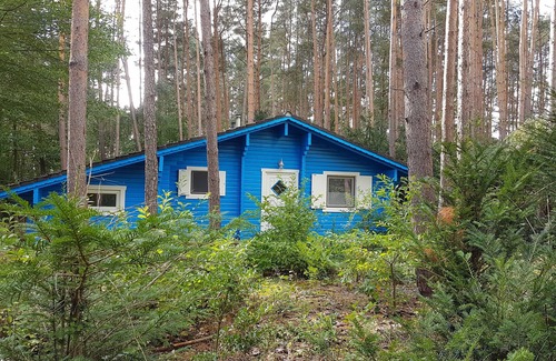 Hitzacker Casa | "Forest bathing" in Wendland, near the Elbe - hiking and cycling from the doorstep