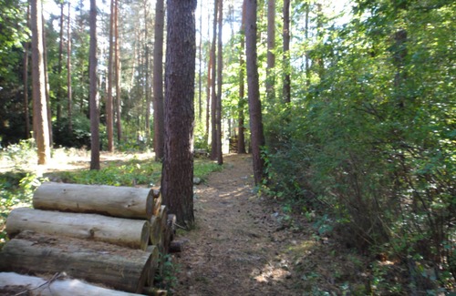Hitzacker Casa | "Forest bathing" in Wendland, near the Elbe - hiking and cycling from the doorstep