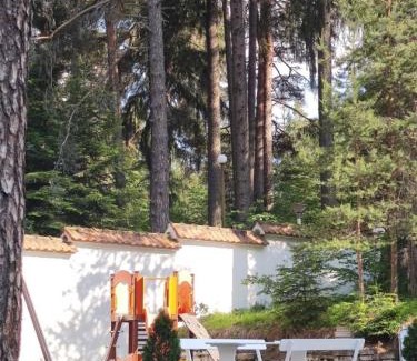 Samokov Apartamento | Forest Chamkoria Apartment