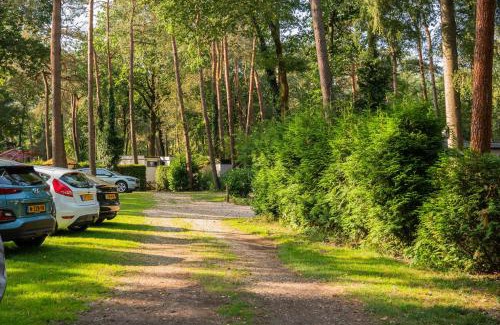 Bosgebied Hoenderloo Chalet De Esquí | Forest Finest, luxe chalet met HOT TUB mooie overkapping en prachtige tuin met veel privacy