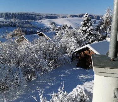 Unterkirnach Apartamento | Forest Haven