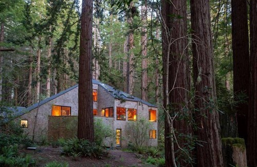 Sea Ranch Casa | Forest House: 2 BR, 3 BA House in The Sea Ranch, Sleeps 4