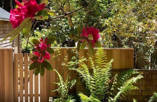 Sea Ranch Casa | Forest House: 2 BR, 3 BA House in The Sea Ranch, Sleeps 4