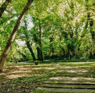 Palic Casa | Forest House