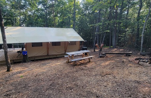Lenoir Alquiler De RV | Forest is for rest, Quiet and private location in the mountains Forrest Cump.