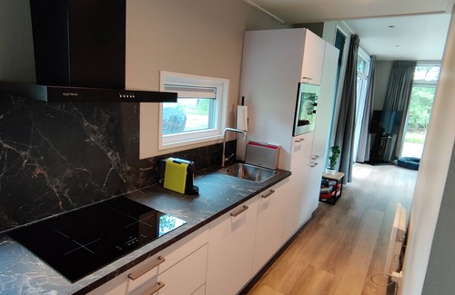 Municipality of Hellendoorn Chalet De Esquí | Forest Lodge 111+ Hot tub The Green Deer