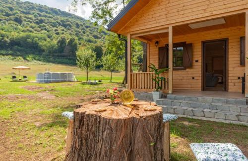 Seliste Chalet De Esquí | Forest Paradise