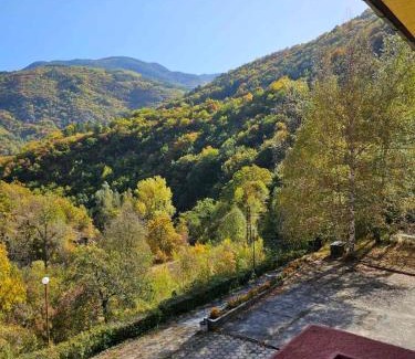 Narechen Apartamento | Forest Spring