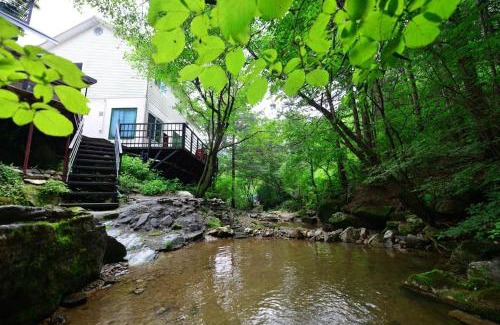 Seorak Casa | Forest Squirrel Pension