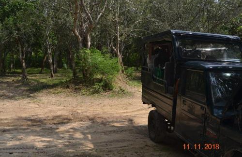 Ranawaranawa Casa | Forest Thanamalwila