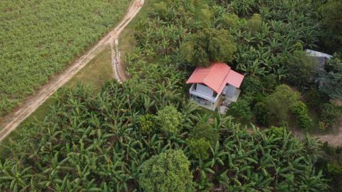 Buttala Casa | Forest Tree Top Holiday Resort