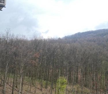 Rogaca Apartamento | Forest View Apartment