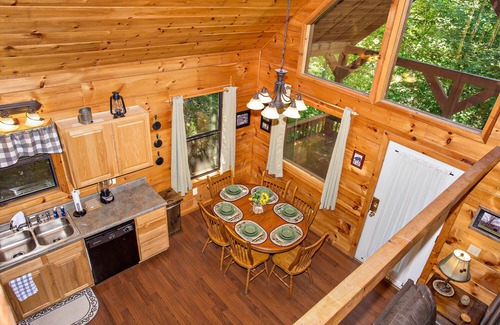 Caton Cabina | Forest View Hideaway: aislado, excelentes servicios, jacuzzi, sala de juegos, cerca de todas las atracciones.