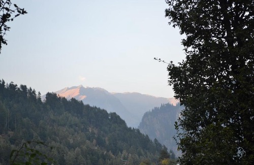 Old Manali Casa | Forest Wood Cottage