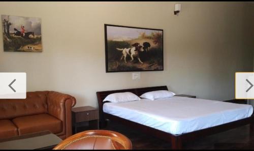 Virarajendrapet Casa | Forestdale Coorg