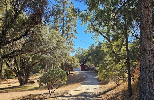 Ahwahnee Cabina | Forested Solitude in Ahwahnee, stargaze in the spa in this quiet pine forest