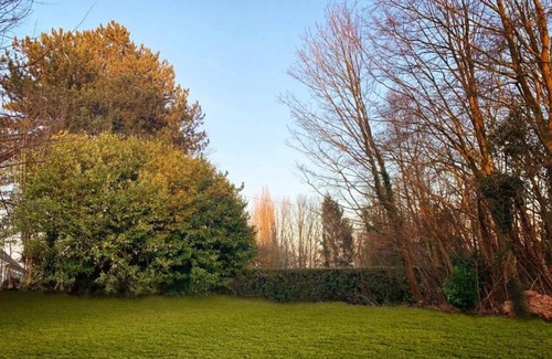 Ronse Casa | forrest - Holiday Home - Vakantiewoning