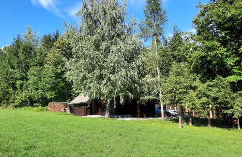 Kranj Casa | Forrest House
