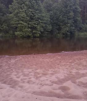 Sulejow Apartamento | Forrest House w Białej