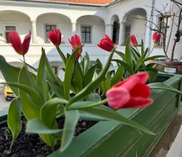Eger Apartamento | Forst-Ház Apartman