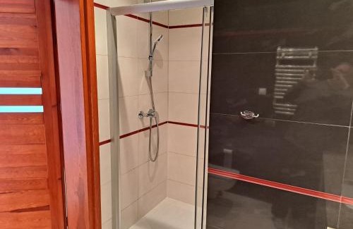 Wyspa Sobieszewska Casa | Forsycja