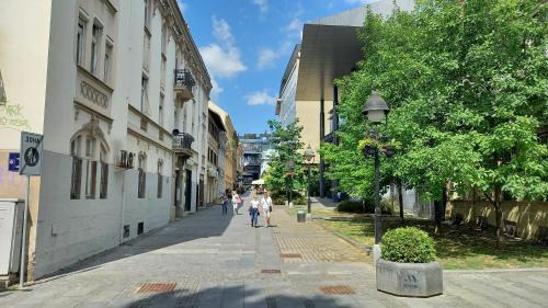 Kosancicev Venac Apartamento | Fortress 1: Quiet, Lux 50m2 , apartment in the pedestrian zone