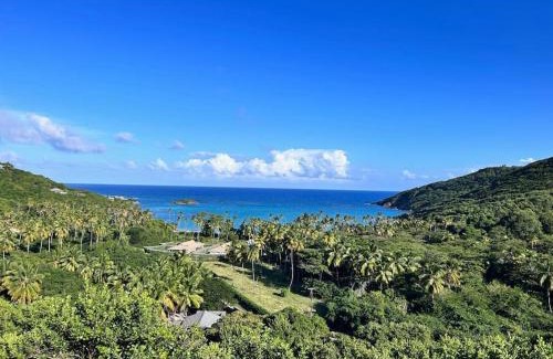 Spring Estate Villa | Fortress J Bequia