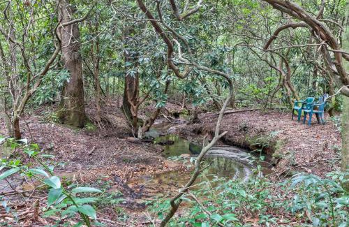 Sautee Nacoochee Casa | Four Cubs in the Creek