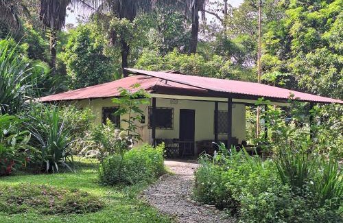 Puerto Jimenez Casa | Four Monkeys Eco Lodge Jungle & Beach - The House