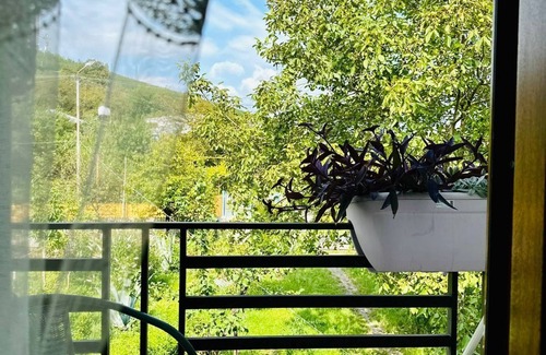 Kutaisi Casa | Four Seasons in Kutaisi